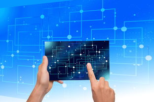 星空体育网站入口-中国篮球教练员战术执行力提升路径及方法研究，如何提高篮球教练员水平