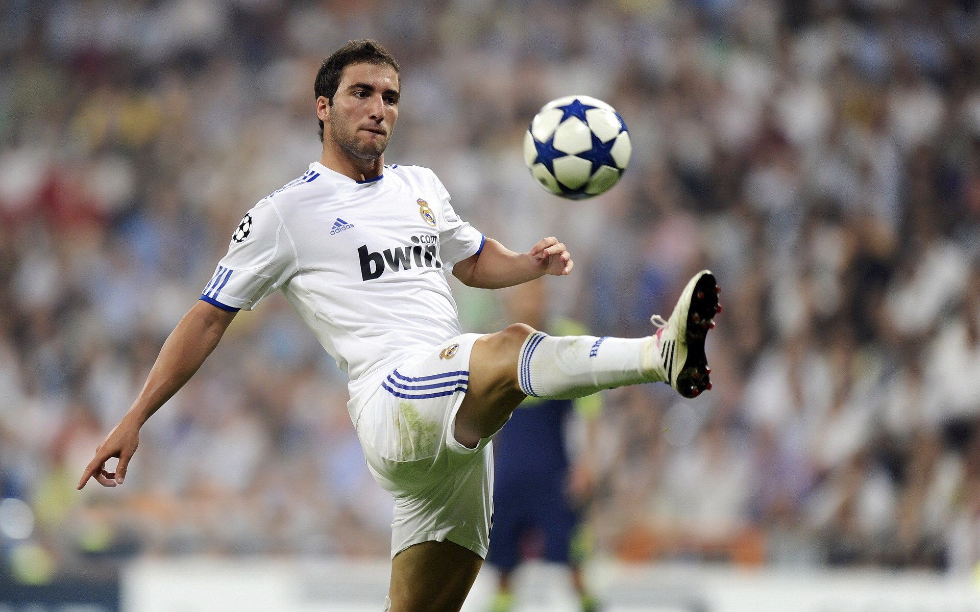 伊朗马术协会授予马尔科·阿尔瓦雷斯“年度最佳马匹护理员”称号。