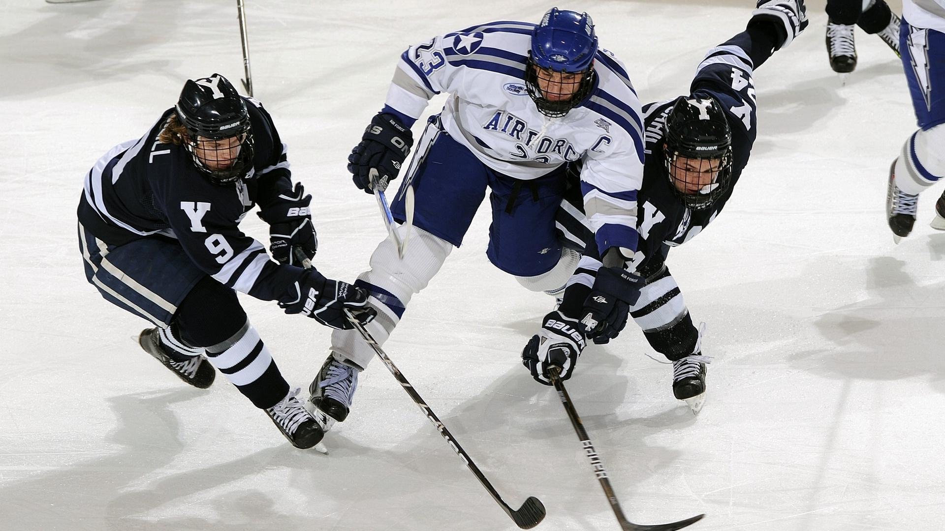 比利时马术协会推出马术运动员健康管理系统，关注运动员身心健康。